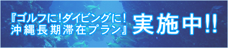 �w�S���t��!�_�C�r���O��!���꒷���؍݃v�����x���{��!!